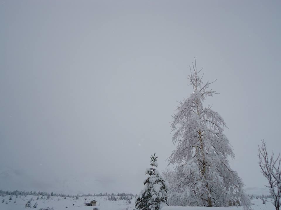 Vikendica Jela Blidinje Villa Rudo Polje Exterior foto